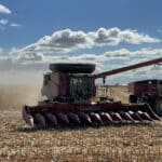 Corn Harvest