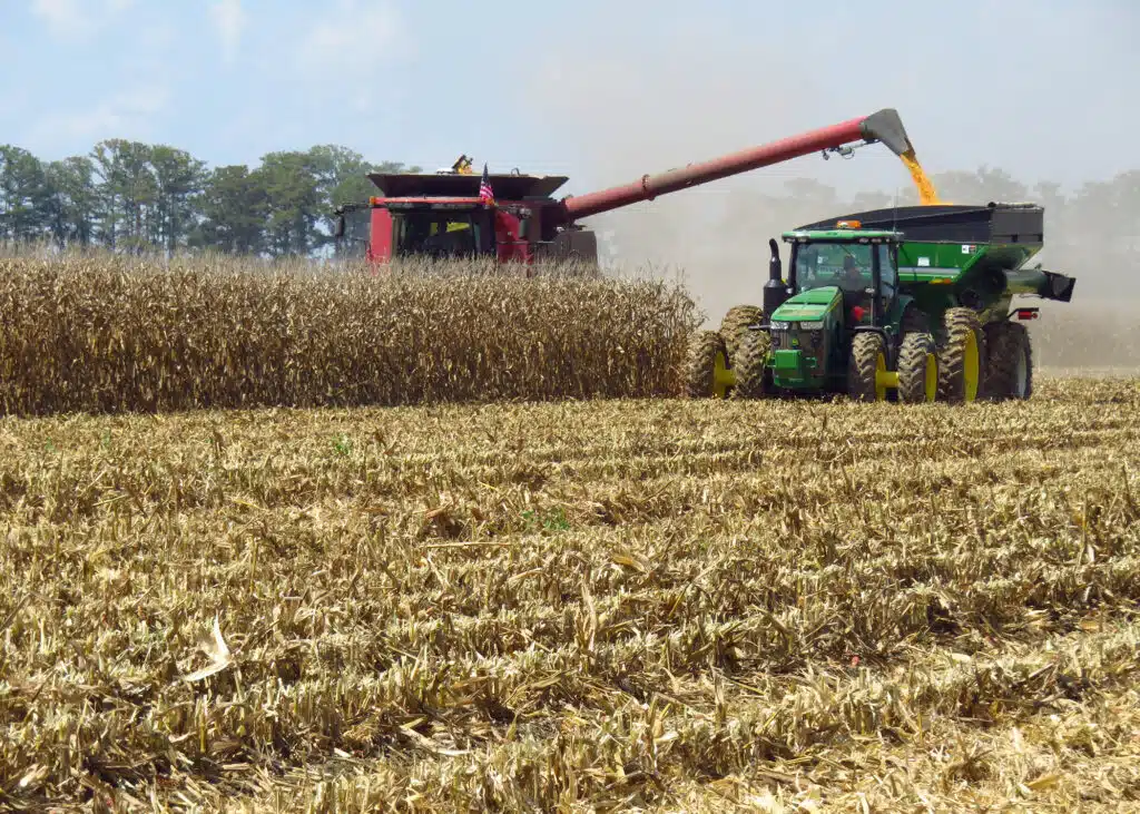 Corn producer harvesting their crop.