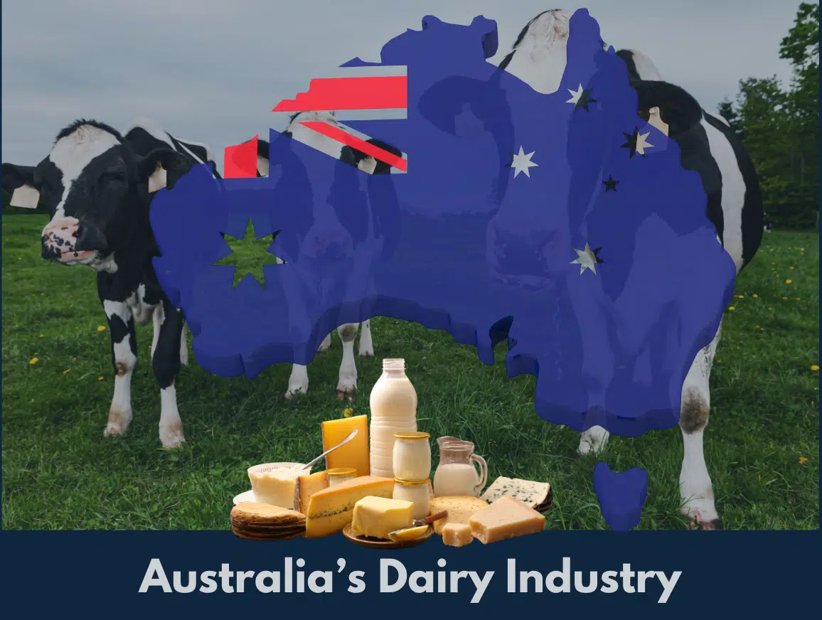 Australia's Dairy