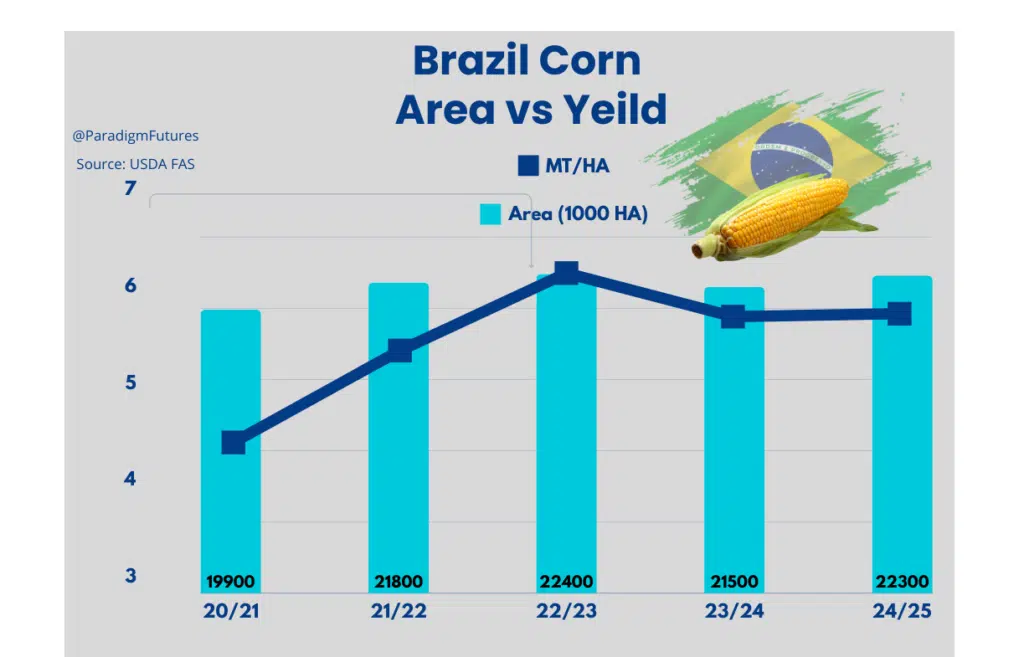 brazil's corn