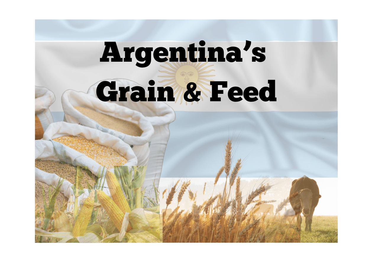 Argentina grain