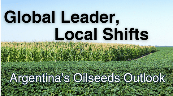 Argentina's Oilseeds