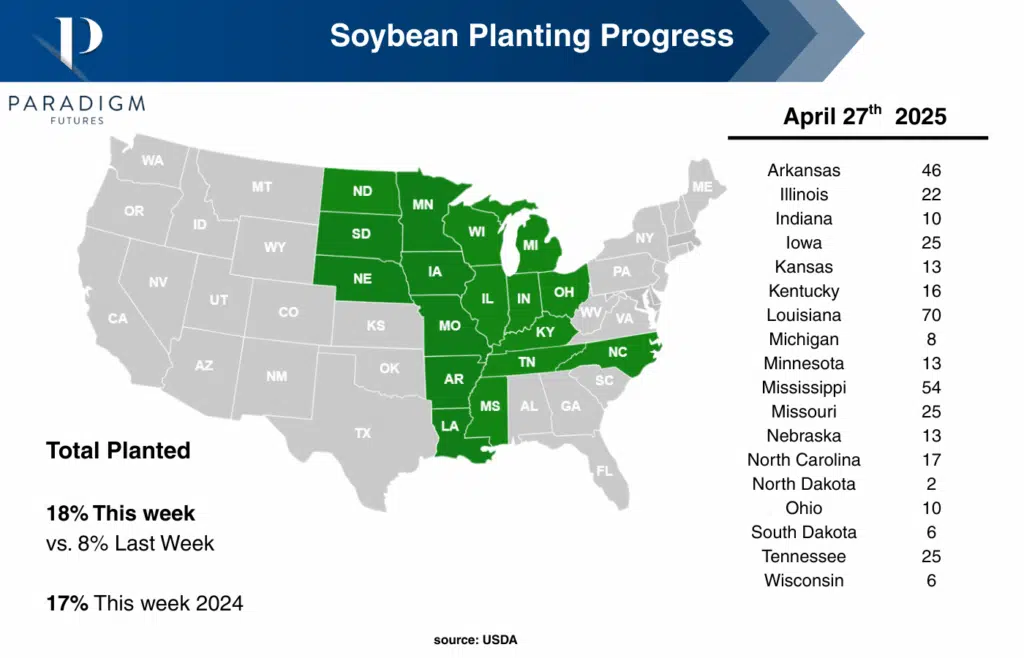 soybean planting