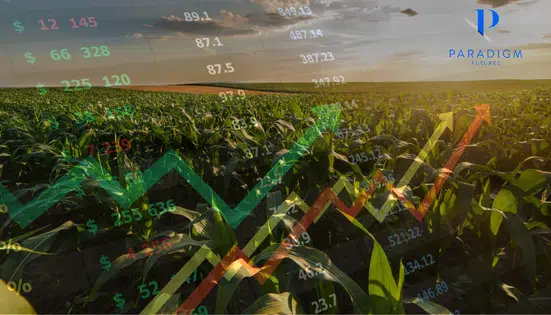 Corn & Soybean Price