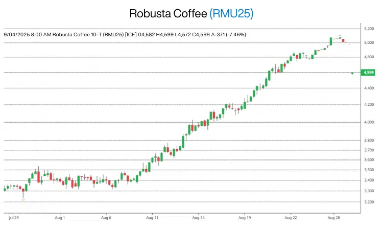 Robusta Coffee Futures RMU25 chart