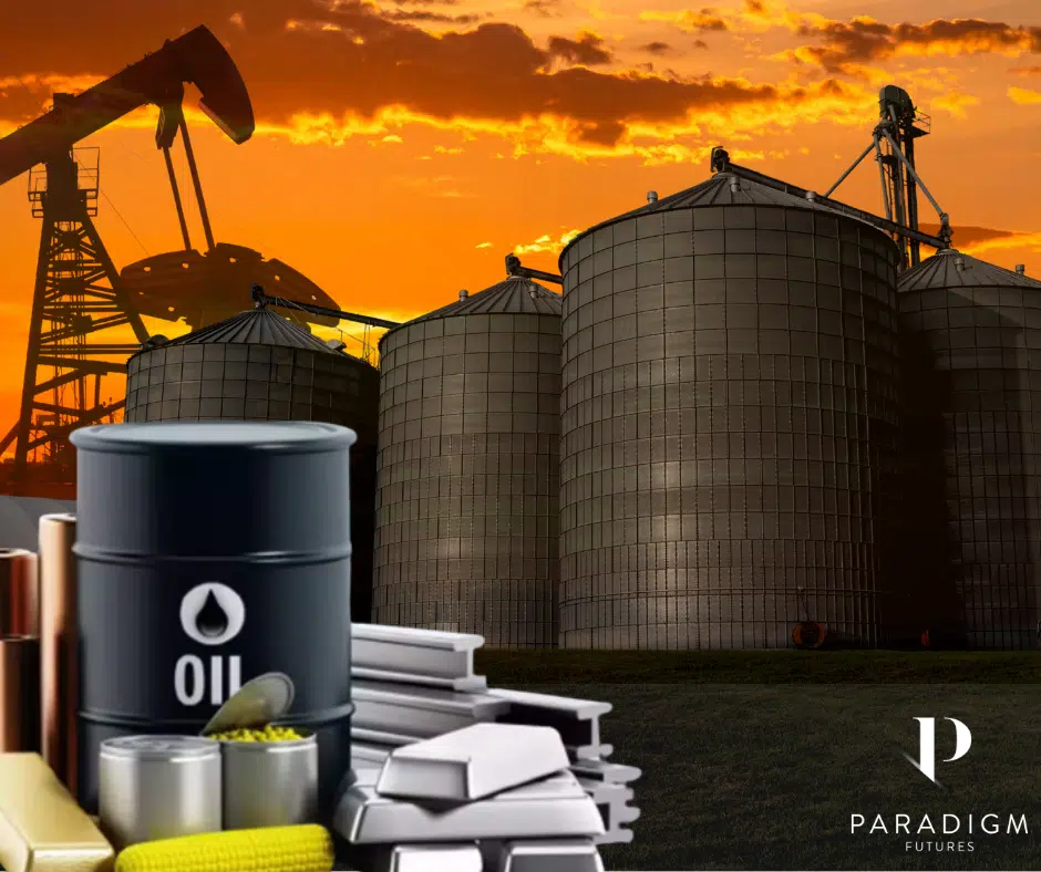 November Markets Recap