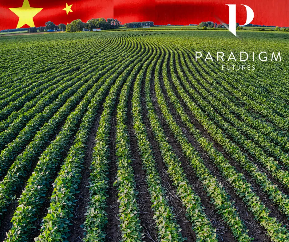 China oilseeds corn