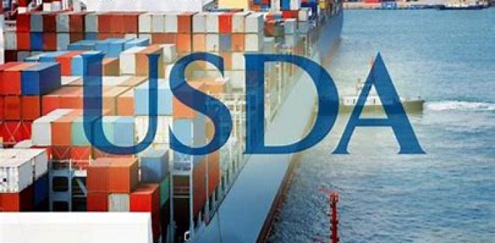 USDA Export Sales